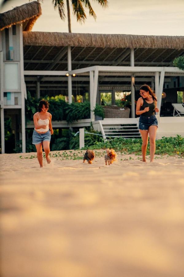 Beach Houses Moitas Amontada Екстер'єр фото